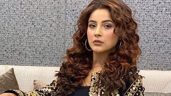 Shehnaaz Gill To Entertain Fans With Colors' New Show Shaandaar Ravivar; Bharti To Be A Part Of It