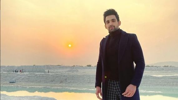 Naagin 5: Arjit Taneja Not Entering The Show; Makers Have No Plans To End Mohit Sehgal's Character