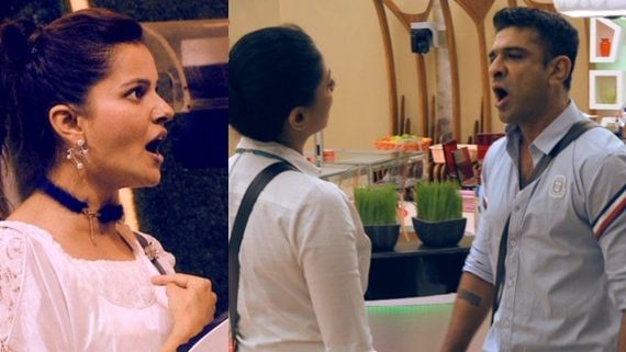 Bigg Boss 14 November 17 Highlights: Kavita's Heated Arguments With Eijaz & Aly, Rubina Loses Cool