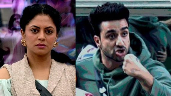 Bigg Boss 14 November 24 Highlights: Aly Gets Nominted For His Aggression, Kavita Breaks Down