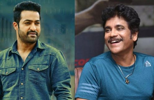 Bigg Boss Telugu 4: Jr NTR To Join Host Nagarjuna Akkineni In The Finale? 