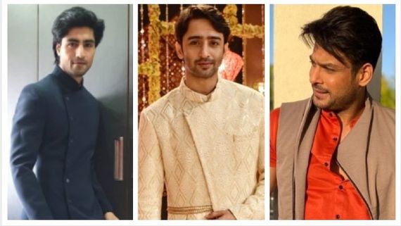 Best TV Actors 2020: From Harshad Chopda To Shaheer Sheikh, TV Stars Who Topped This Year's List!