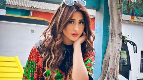 Bigg Boss 13 Contestant Mahira Sharma Is Upset With This Trend On Bigg Boss 14
