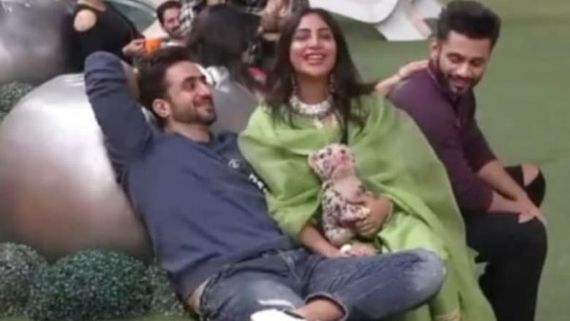 Bigg Boss 14: Aly Goni Gets Emotional Post Arshi Khan's Elimination