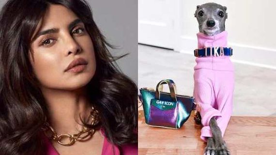 Priyanka Chopra And Her Pooch Diana Receive Advice From IG Fashion Mogul Tika