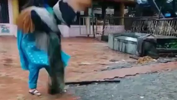 Digangana Suryavanshi Attacked By A Peacock; Video Goes Viral