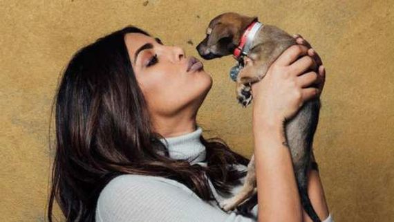 Priyanka Chopra Says Pup Diana Heals Her Heart And Makes Her More Human
