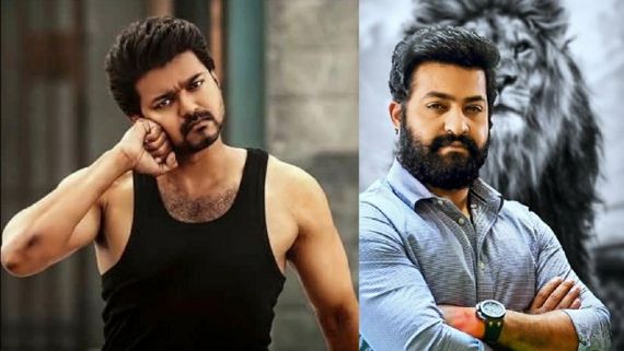 Thalapathy Vijay And Jr NTR To Unite For Atlee’s Multi-Starrer Project?