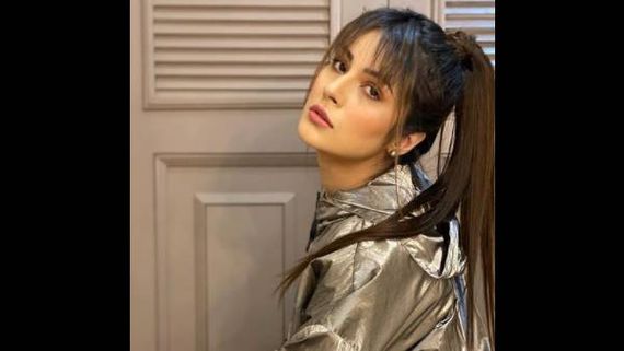 Shehnaaz Gill Silences Trolls For Questioning Her English, Sings Justin Bieber's Track Peaches