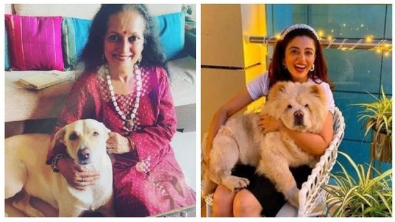 World Animal Welfare Day: &TV Actors & Pet Parents Talk About Animal Care & Wellbeing 