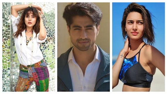 Shehnaaz Gill, Harshad Chopda, Erica Fernandes & Other TV Actors Who Rocked Instagram In 2021