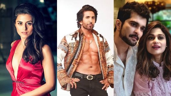 BB 15: Ridhi Dogra Bashes Vishal Kotian For Mocking Her Ex-Husband Raqesh Bapat For Dating Shamita Shetty