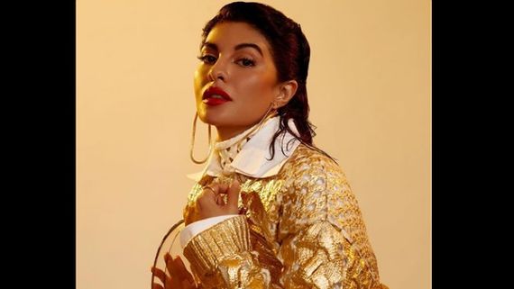 Jacqueline Fernandez Was Offered Ambitious Hollywood And South Movies & Series By Sukesh Chandrashekhar?