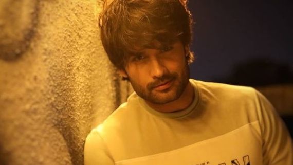 Vivian Dsena Is In Love Again? Actor Plans To Take The Plunge Soon?