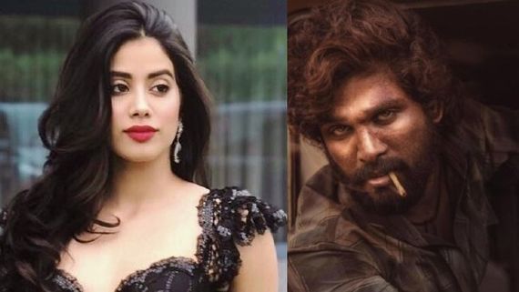 Janhvi Kapoor Watches Pushpa, Has THIS To Say About Allu Arjun! 