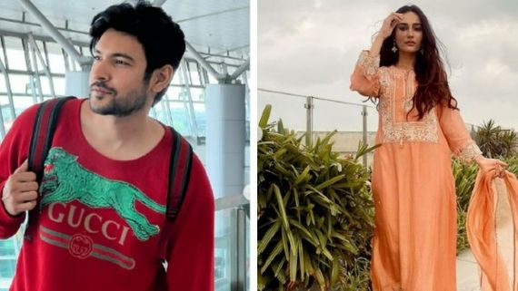 Bigg Boss 16: Bobby Darling, Surbhi Jyoti & Shivin NOT Participating; Aamir Ali Backs Out At Last Moment?