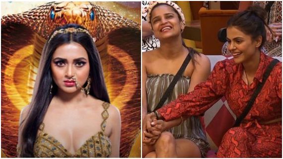 EXCLUSIVE! Bigg Boss 16's Priyanka Chahar Choudhary & Archana Gautam Approached For Naagin 7? Deets Inside