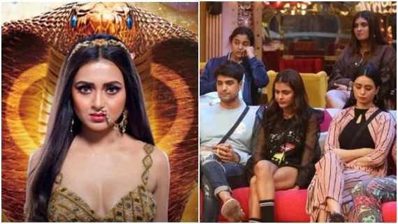 Naagin 7: After Priyanka Choudhary, Makers Considering THIS Bigg Boss 16 Contestant For The Show? Deets Inside