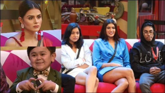 Bigg Boss 16 Ranking: Priyanka Choudhary At No.3, THIS Contestant REPLACES Abdu Rozik As Most Popular - LIST