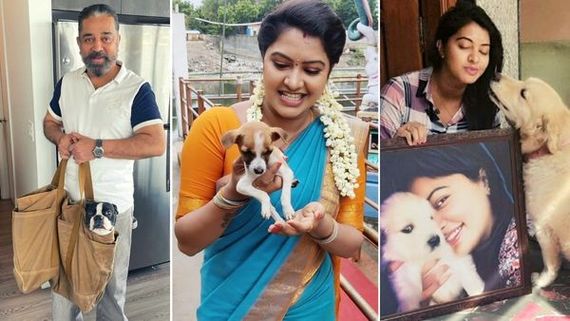 Bigg Boss Tamil 6 Elimination: Kamal Haasan Poses With A Dog, Is It About Rachitha’s Eviction From The Show?