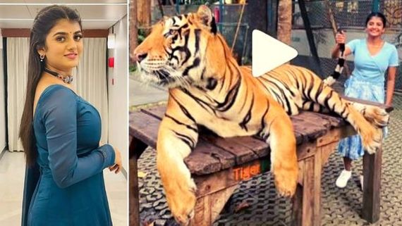 Gabriella’s Shares Her 'Thrilling moment in Thailand' With Sollunga Mama Kutty Song: Video Goes Viral!