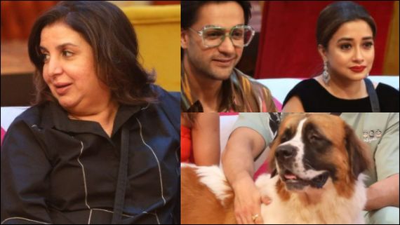 Bigg Boss 16 Family Week| Farah Khan Trolls Tina Datta, Compares Shalin Bhanot With Mahim: You're Much...