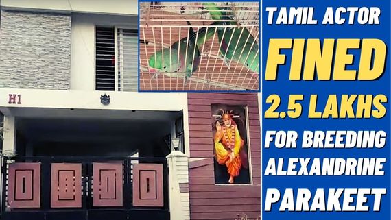 Famous Tamil Film Actor Fined By The Forest Department In Parrot Breeding Case