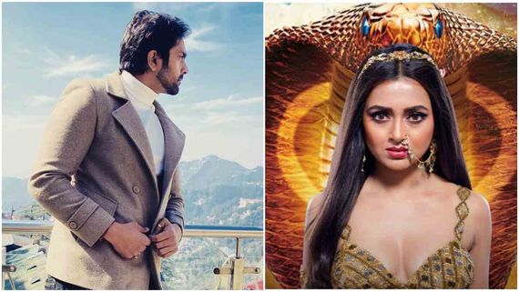 Naagin 6 New Entry: THIS Actor Confirms Joining Tejasswi Prakash, Excited To Play A Naag In The Hit Show 