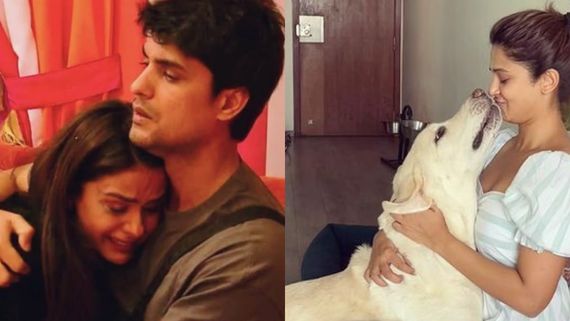 TV News Of The Day: Ankit Gupta On His 'Rishta' With Priyanka Choudhary, Jennifer Winget's Dog's Death & More