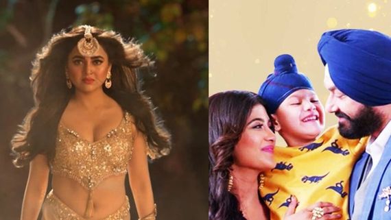 Naagin 6 Twist: Nimrit Kaur Ahluwalia's Co-star Enters Tejasswi Prakash's Show, Prathana Gets Major Shock