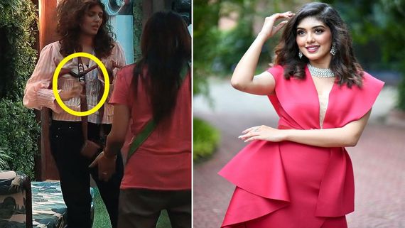 Bigg Boss Malayalam Season 5: Cerena Accused Of Cheating In Task, Audience Presents Damning Evidence