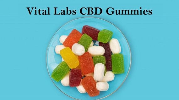 Vital Labs CBD Gummies Reviews in USA (Shark Tank CBD Gummies) Should You Buy Regenerate CBD Gummies Brand?