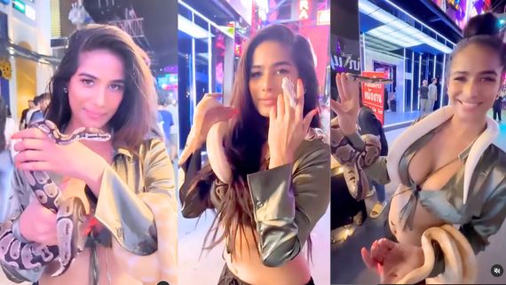VIDEO: Poonam Pandey Unleashes Her Wild Side As She Plays With Snakes, Fans Joke: Do Do Naagin Ek Hi Frame…