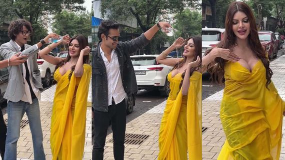 Besharmi Ki Had…: Sherlyn Chopra Trolled For Making Men Pour Water On Her Body As She Dances Roadside: VIDEO
