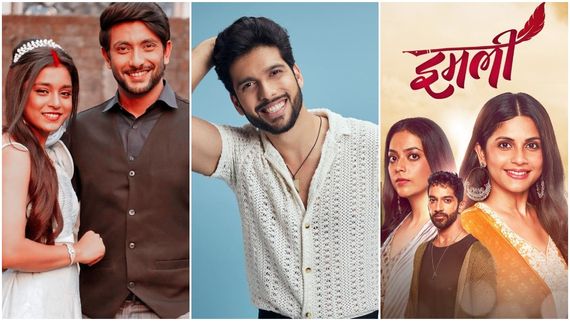 Imlie LEAP: Is Sai Ketan Rao Replacing Karan Vohra as NEW HERO In Season 3? Chashni Star REACTS