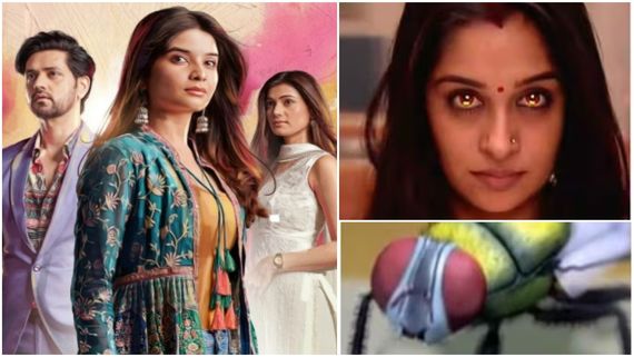 Refuse To Become Makkhi…: Did Ghum Hai Kisikey Pyaar Meiin Star Bhavika Sharma Take A Dig At Dipika Kakar?