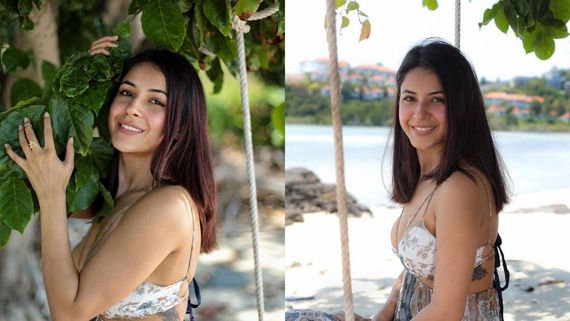 Mere Sapne...: Shehnaaz Gill Breaks Internet With Her New Viral Video As She Gives Special Surprise To Fans