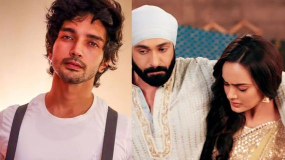 Ganesh Chaturthi 2023:  Teri Meri Doriyaann's Harsh Rajput Aka Rumi Reveals How He Will Celebrate