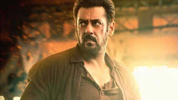 Salman Khan Delivers His Career's Best Performance In Tiger 3!