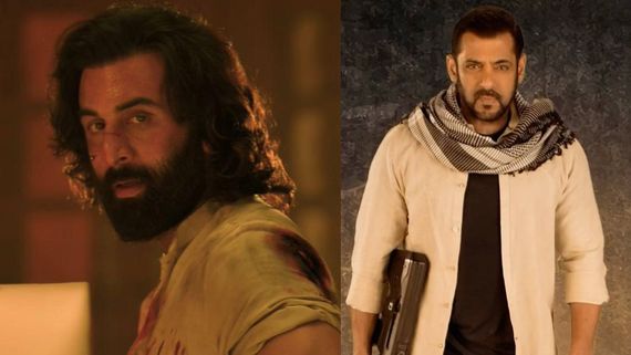 ENT Highlights: Ranbir Reveals His 1st Reaction To Animal Script; Salman On Tiger 3 Crossing 420Cr Worldwide