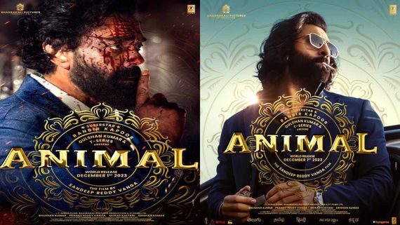 Animal Theatrical Business: Ranbir Kapoor-Sandeep Reddy Vanga's Telugu Rights Sold For A Whopping Rs...