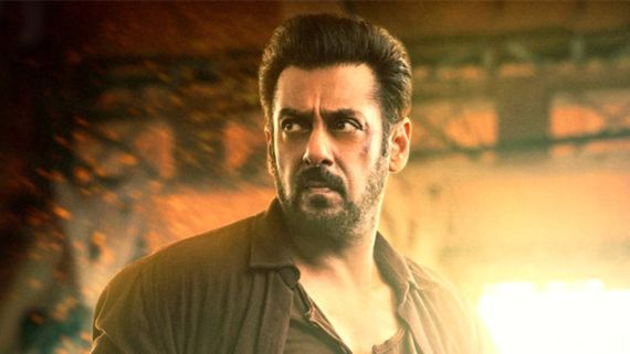 Behold the Tiger of Bollywood: Salman Khan's Unstoppable Journey Ahead Of Tiger 3 Release