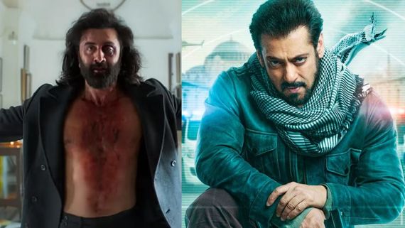 Animal Box Office Day 5: Ranbir’s Film Surpasses Tiger 3 Lifetime Collection Despite Another Dip In Numbers