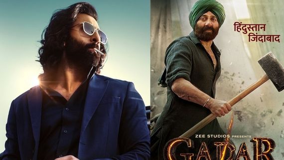 Animal Box Office Day 19: Ranbir’s Film Inches Close To Beating Gadar 2 Lifetime Collection After Major Dip