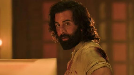 Animal Box Office Collection Day 31: Ranbir’s Film Sees Growth On Last Day Of 2023; Likely To Cross 545Cr