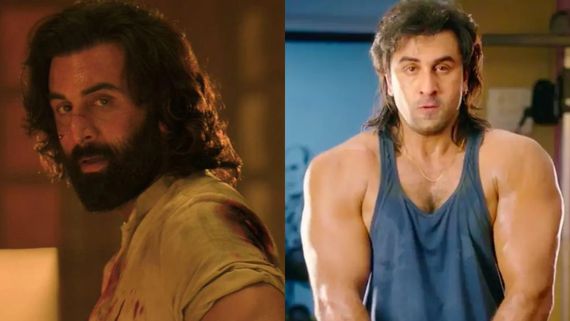 Animal Box Office Day 7 Prediction: Sandeep’s Film Inches Towards 350Cr, To Become Ranbir’s Biggest Hit Today?