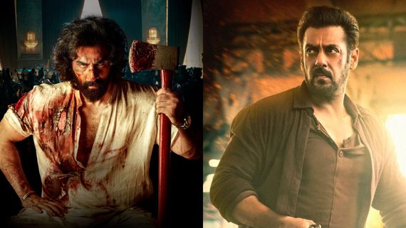 Ranbir’s Animal Goes Wild; To ‘Eat’ Tiger 3 By Crossing Its Lifetime Collection In India & Worldwide On Day 5?