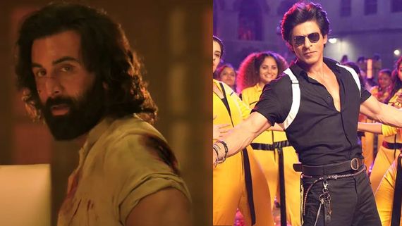 Animal Box Office Day 1: Ranbir’s Film Heads Towards 116Cr Worldwide; Fails To Beat SRK’s Jawan?