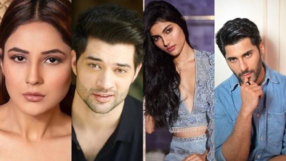 Year Ender 2023: Alizeh Agnihotri To Rajveer Deol; 6 Newcomers Who Entered Bollywood This Year