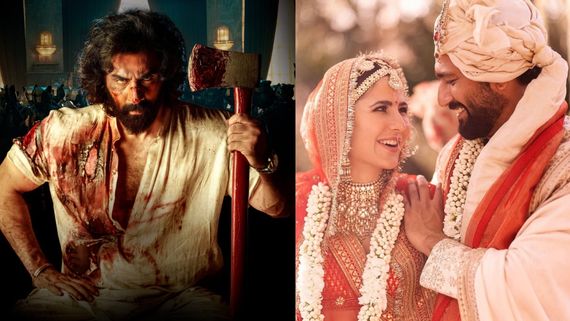 ENT Highlights: Animal Crosses 200Cr In 3 Days; Katrina On Being Anxious About Her Wedding Post-Lockdown